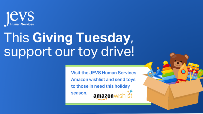 This Giving Tuesday, support our toy blog!